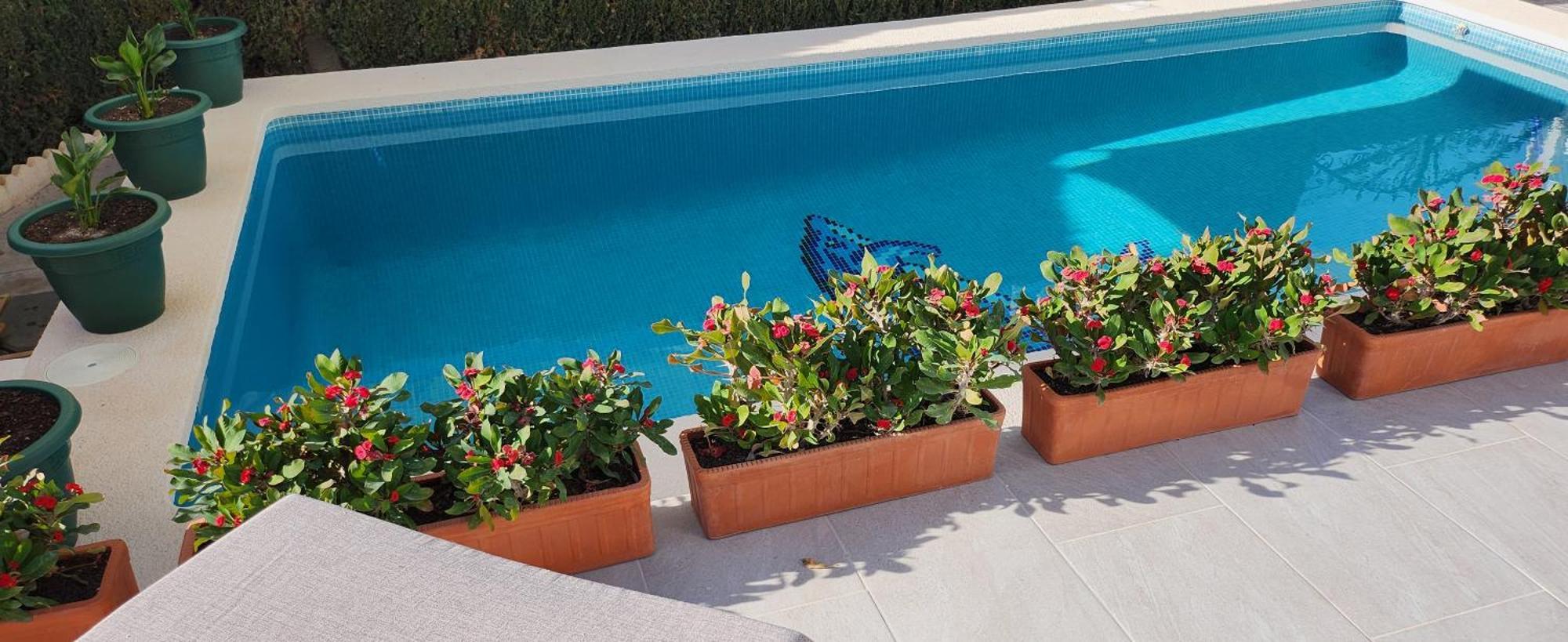 Las Mariposas San Fulgencio Εξωτερικό φωτογραφία